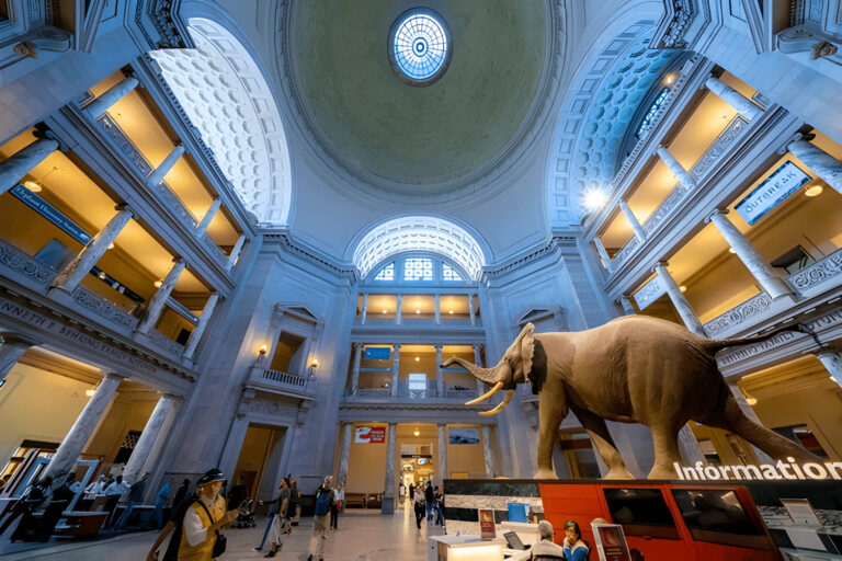 Smithsonian national museum - private tour washington dc