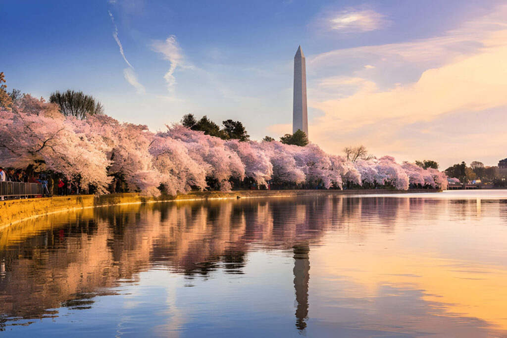 Private Tour of Washington DC